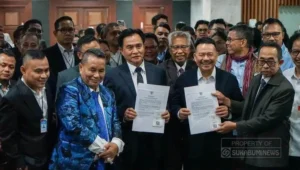 Tim Pembela Prabowo - Gibran (ok)