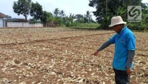 Desa Kebonpedes Alami Kekeringan dan krisis air bersih