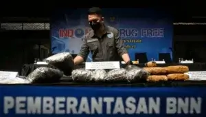 Petugas BNN menata barang bukti, sebelum dimusnahkan di Lapangan Parkir Kantor BNN, Jakarta,