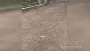 Hasil Pengaspalan Jalan Kebon Kalapa-Pasir Kupa Desa Cibitung Senilai Rp108 Juta Lebih_id